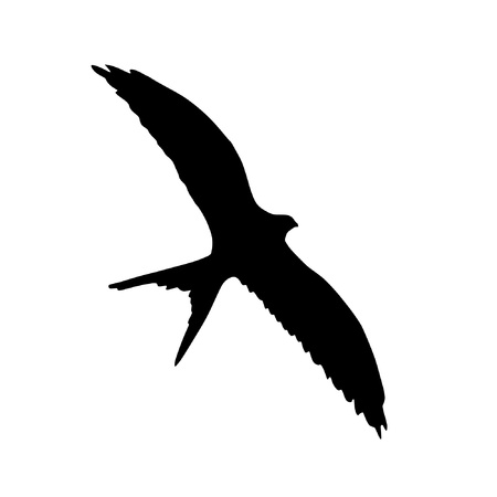 Illustration in style of black silhouette of flying swallowのイラスト素材