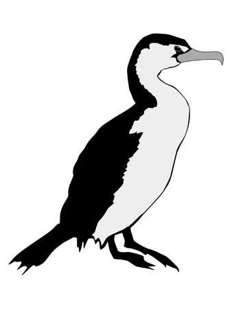 Illustration in style of black silhouette of Cormorantのイラスト素材