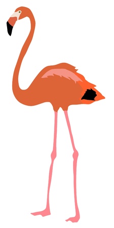 Illustration in style of colored silhouette of flamingoのイラスト素材