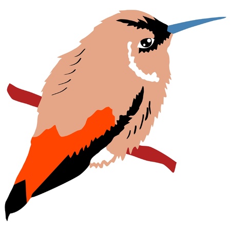 Illustration in style of colored silhouette of hummingbirdのイラスト素材
