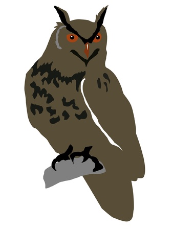Illustration in style of colored silhouette of owlのイラスト素材