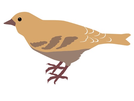 Illustration in style of colored silhouette of siskinのイラスト素材