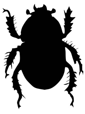 One illustration of the silhouette of dor or Geotrupes stercorariusのイラスト素材