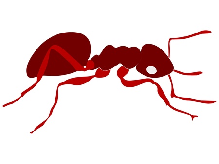 A colored illustration of insect serie. Red ant のイラスト素材
