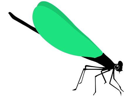 A colored illustration of insect serie. Dragonflyのイラスト素材