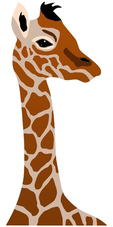 a color illustration of serie of animals, giraffeのイラスト素材