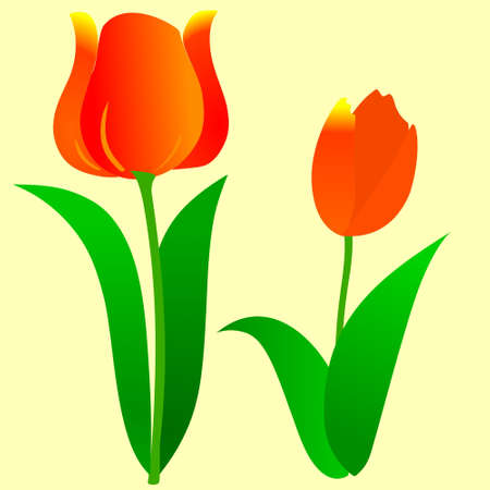 Illustration pour Background of tulips - image libre de droit