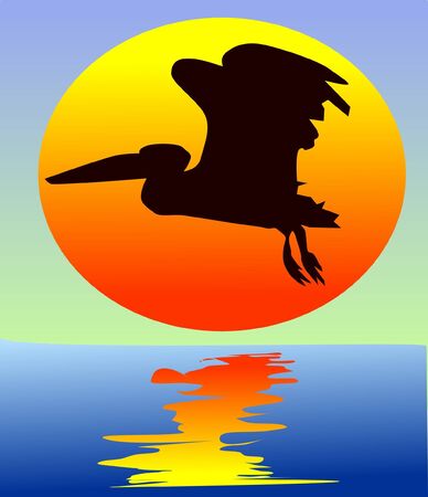 pelican on sunsetのイラスト素材