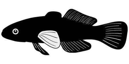 silhouette of the gudgeon on white backgroundのイラスト素材