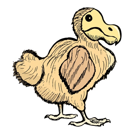 hand drawn illustration of the dront, extinct birdのイラスト素材