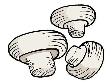 hand drawn, vector illustration of the champignonsのイラスト素材