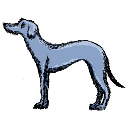 hand drawn, cartoon, sketch illustration of deerhoundのイラスト素材