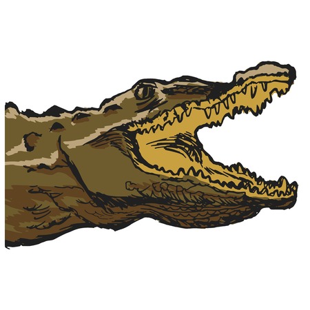 hand drawn, cartoon, sketch illustration of crocodileのイラスト素材