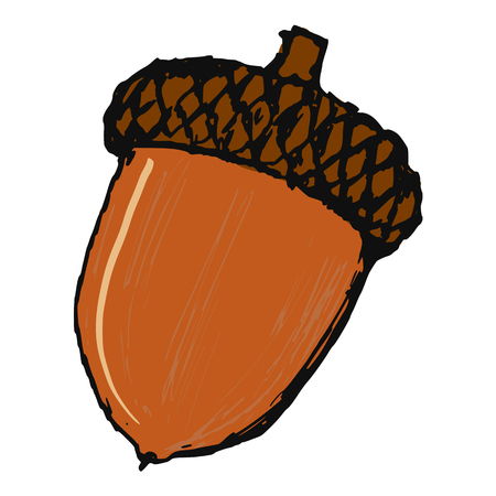 hand drawn, cartoon, sketch illustration of acornのイラスト素材