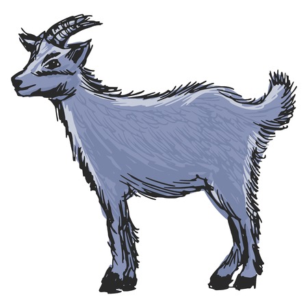 hand drawn, cartoon, sketch illustration of little goatのイラスト素材