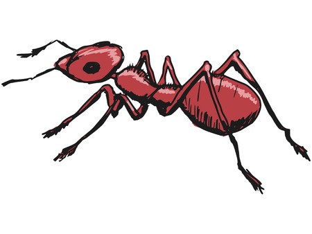 hand drawn, sketch, cartoon illustration of red antのイラスト素材