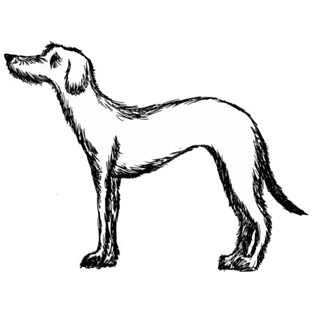 hand drawn, cartoon, sketch illustration of deerhoundのイラスト素材