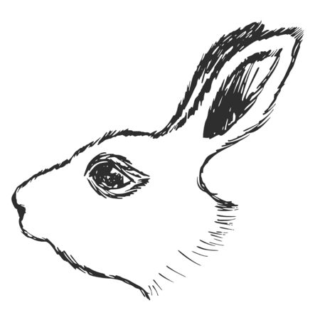 hand drawn, sketch, cartoon illustration of rabbitのイラスト素材