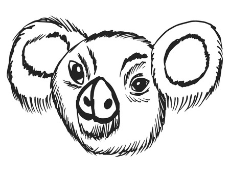 cartoon hand drawn illustration of koalaのイラスト素材