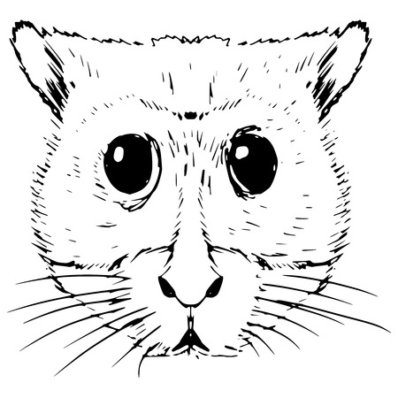cartoon hand drawn illustration of hamsterのイラスト素材