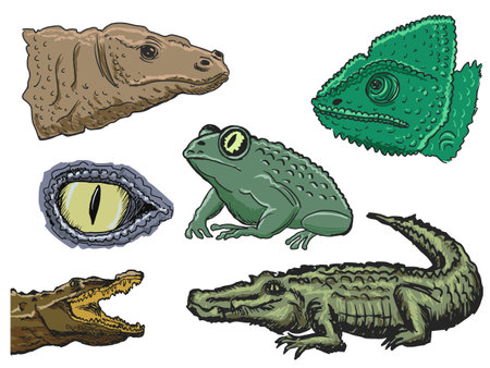 set of illustrations of reptilesのイラスト素材