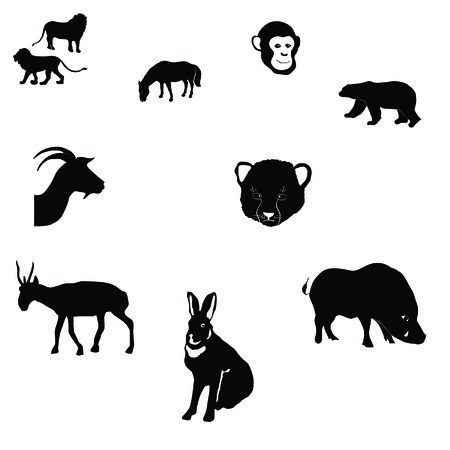 Set of wild animal isolated in white のイラスト素材