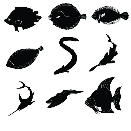 Set of fish isolated in white のイラスト素材