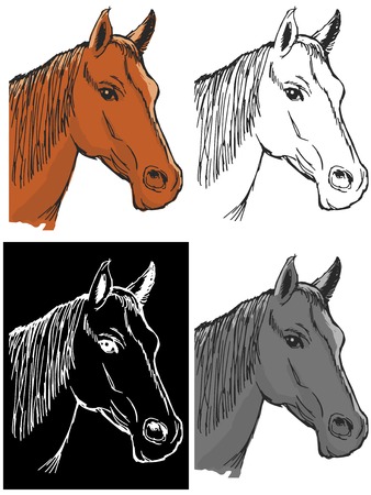 Editable vector illustrations in variations, bay horseのイラスト素材