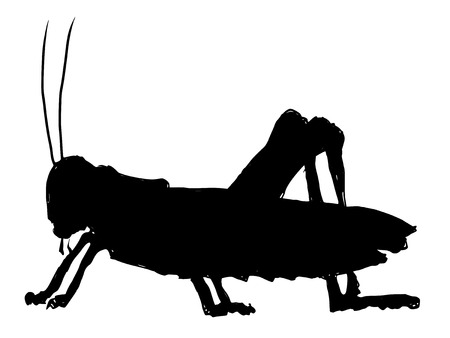 black silhouette of grasshopperのイラスト素材