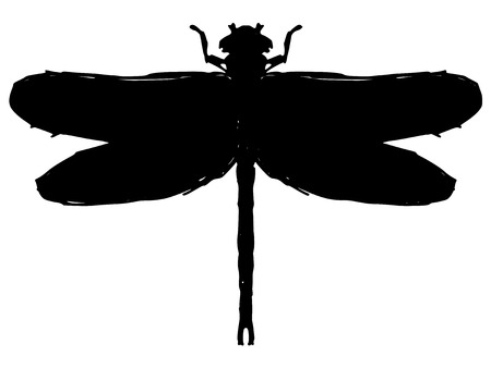black silhouette of dragonflyのイラスト素材