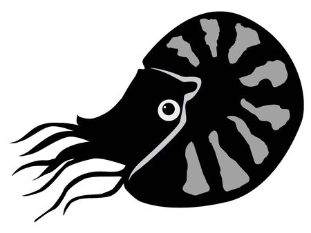 silhouette of nautilusのイラスト素材
