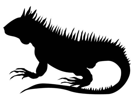 silhouette of iguanaのイラスト素材