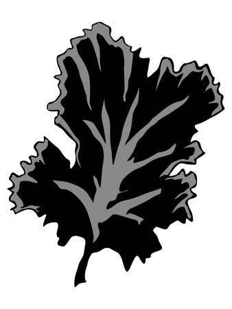 silhouette of seaweedのイラスト素材