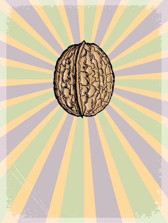 vintage, grunge background with walnutのイラスト素材