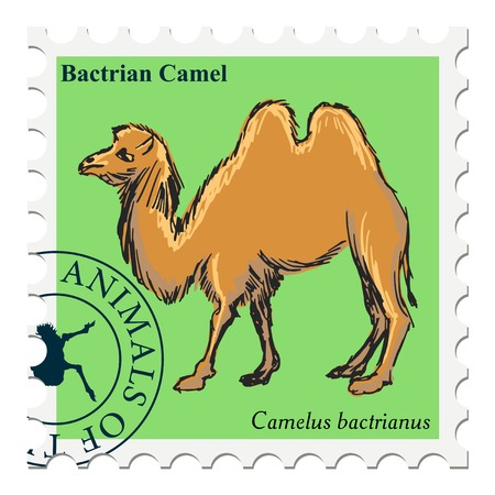 vector, post stamp with camelのイラスト素材