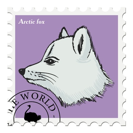vector, post stamp with arctic foxのイラスト素材