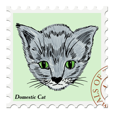 vector, post stamp with kittenのイラスト素材
