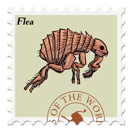 vector, post stamp with fleaのイラスト素材