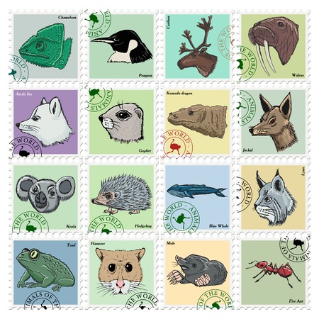animal stamps with jackal, koala, ant and other animalsのイラスト素材