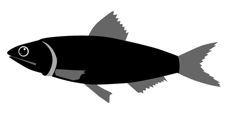 Silhouette of anchovyのイラスト素材