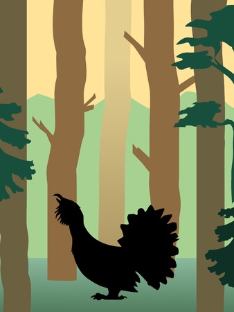 vector illustration of grouseのイラスト素材