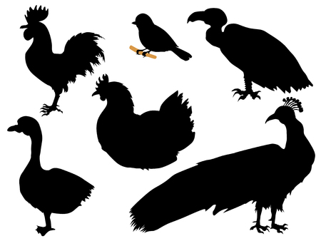 set of silhouettes of birdsのイラスト素材