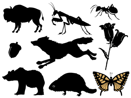 silhouettes of forest animals and plantsのイラスト素材