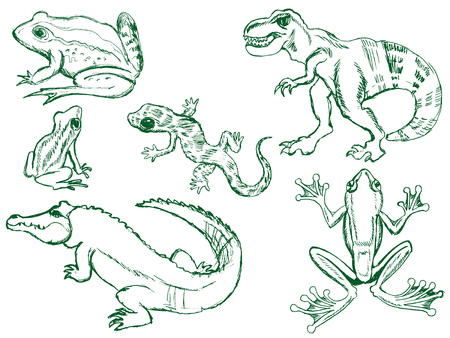 set of sketches of different reptilesのイラスト素材