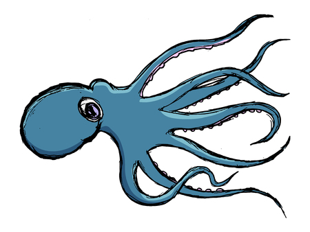 sketch of octopus, illustration of wildlife, zoo, animalsのイラスト素材