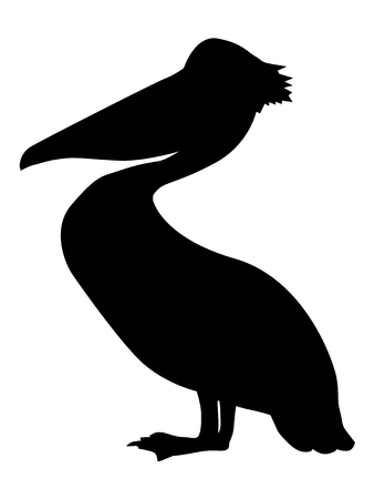 Pelican, silhouette of wildlife, birds and  sea.のイラスト素材