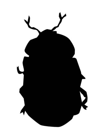 Silhouette of golden beetle. Motives of nature, wildlife, springtime, insectsのイラスト素材