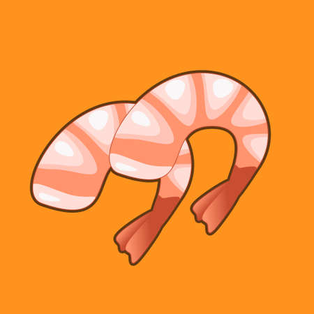 Boiled shrimp, Cooked shrimps on yellow background,のイラスト素材