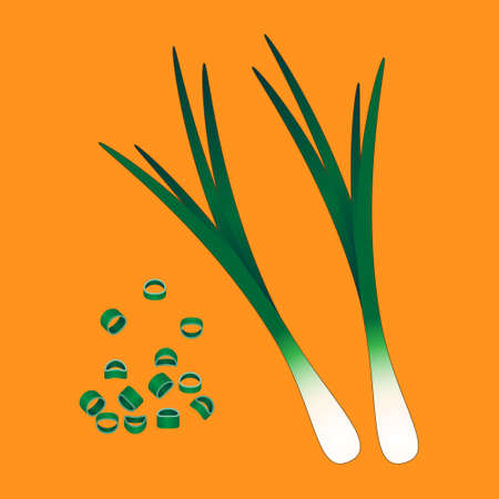 Chopped fresh green onions on yellow background, Vector illustrationのイラスト素材