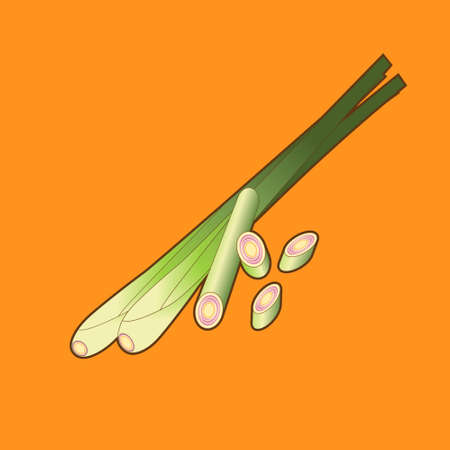 Lemon grass on a yellow background.のイラスト素材